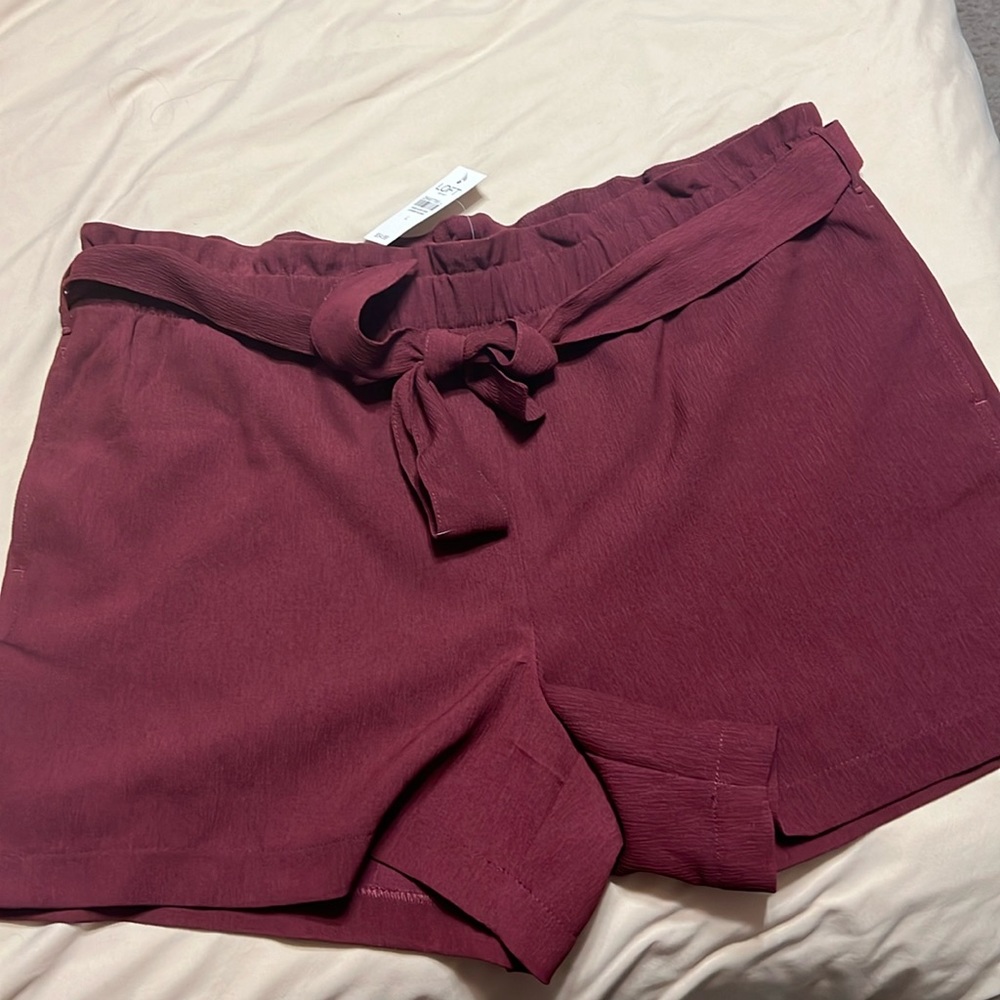 Loft Shorts